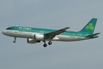Aer Lingus, Airbus A320-214, EI-DVE, c/n 3129, in FRA