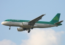 Aer Lingus,  Airbus A320-214, EI-DVE, c/n 3129, in LHR