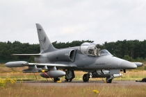 Luftwaffe - Tschechien, Aero Vodochody L-159A, 6053, c/n 156053, in EBBL
