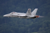 Luftwaffe - Schweiz, McDonnell Douglas F/A-18C Hornet, J-5017, c/n 1365/SFC017, in LOXZ
