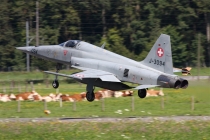 Luftwaffe - Schweiz, Northrop F-5E Tiger II, J-3094, c/n L1094, in LSMM