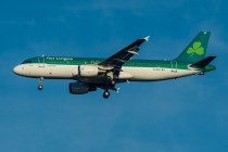 Aer Lingus, Airbus A320-214, EI-DES, c/n 2635, in TXL